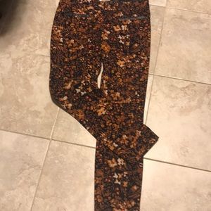 Anthropology new condition